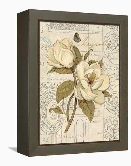 Magnolia Etching-Chad Barrett-Framed Stretched Canvas