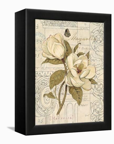 Magnolia Etching-Chad Barrett-Framed Stretched Canvas