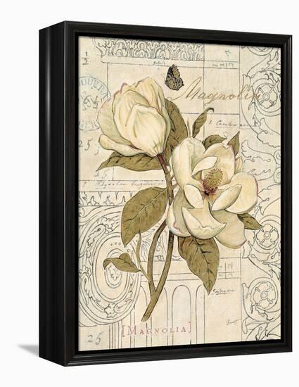 Magnolia Etching-Chad Barrett-Framed Stretched Canvas