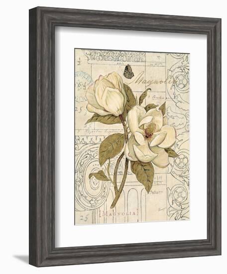 Magnolia Etching-Chad Barrett-Framed Art Print