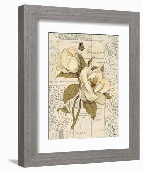 Magnolia Etching-Chad Barrett-Framed Art Print