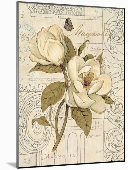 Magnolia Etching-Chad Barrett-Mounted Art Print