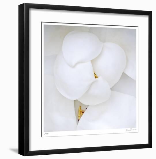 Magnolia Flower Abstract No 236-Shams Rasheed-Framed Giclee Print