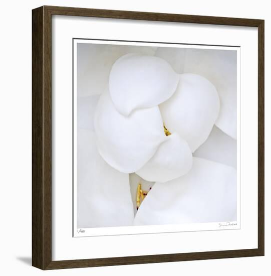 Magnolia Flower Abstract No 236-Shams Rasheed-Framed Giclee Print