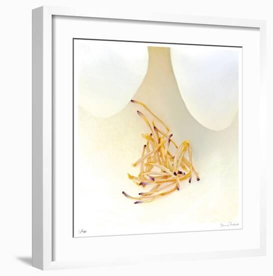 Magnolia Flower Abstract No 238-Shams Rasheed-Framed Giclee Print