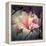 Magnolia Forever-Philippe Sainte-Laudy-Framed Premier Image Canvas