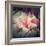 Magnolia Forever-Philippe Sainte-Laudy-Framed Photographic Print