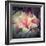 Magnolia Forever-Philippe Sainte-Laudy-Framed Photographic Print