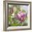 Magnolia Forever-Viviane Fedieu Daniel-Framed Photographic Print