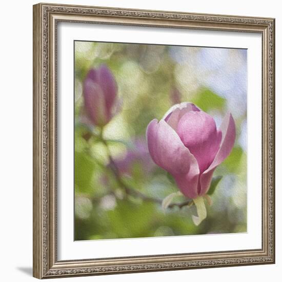 Magnolia Forever-Viviane Fedieu Daniel-Framed Photographic Print