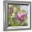 Magnolia Forever-Viviane Fedieu Daniel-Framed Photographic Print