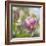 Magnolia Forever-Viviane Fedieu Daniel-Framed Photographic Print