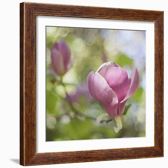 Magnolia Forever-Viviane Fedieu Daniel-Framed Photographic Print