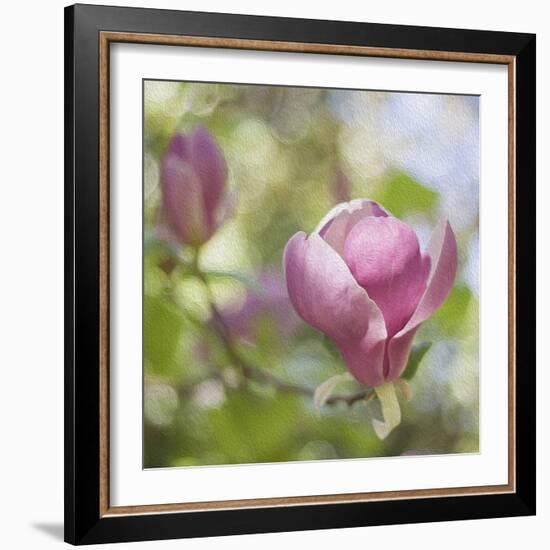 Magnolia Forever-Viviane Fedieu Daniel-Framed Photographic Print