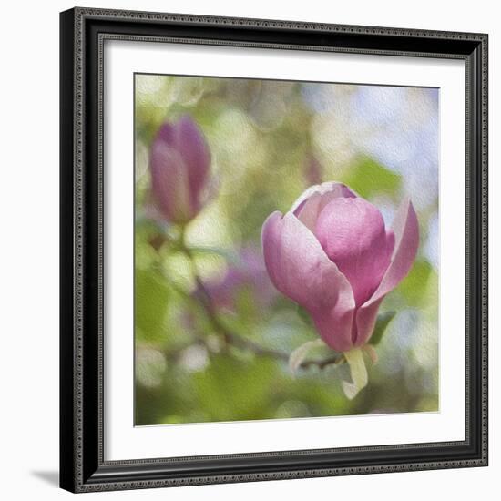 Magnolia Forever-Viviane Fedieu Daniel-Framed Photographic Print