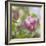 Magnolia Forever-Viviane Fedieu Daniel-Framed Photographic Print