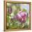 Magnolia Forever-Viviane Fedieu Daniel-Framed Stretched Canvas