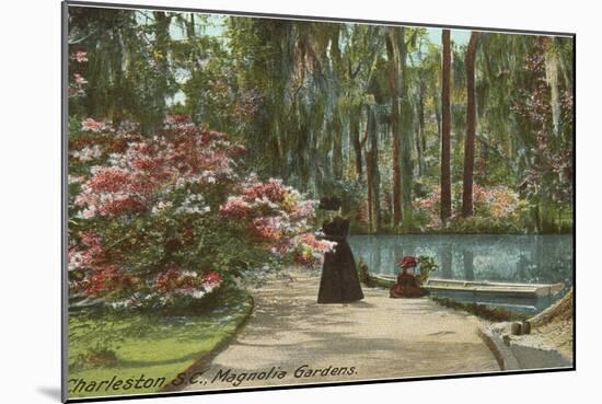 Magnolia Gardens, Charleston, South Carolina-null-Mounted Art Print