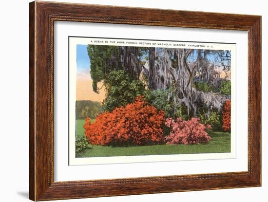 Magnolia Gardens, Charleston, South Carolina-null-Framed Art Print