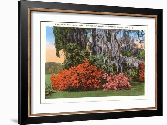 Magnolia Gardens, Charleston, South Carolina-null-Framed Art Print