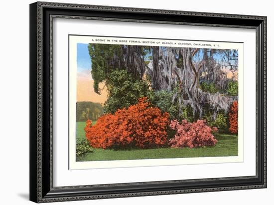 Magnolia Gardens, Charleston, South Carolina-null-Framed Art Print