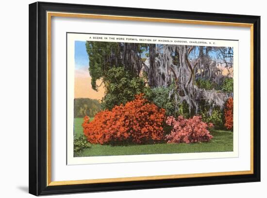 Magnolia Gardens, Charleston, South Carolina-null-Framed Art Print