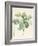 Magnolia Glauca, 1811-Pierre Joseph Redoute-Framed Giclee Print