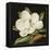 Magnolia Grandiflora, 2003-Jenny Barron-Framed Premier Image Canvas