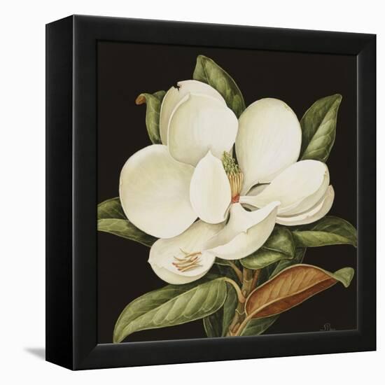 Magnolia Grandiflora, 2003-Jenny Barron-Framed Premier Image Canvas