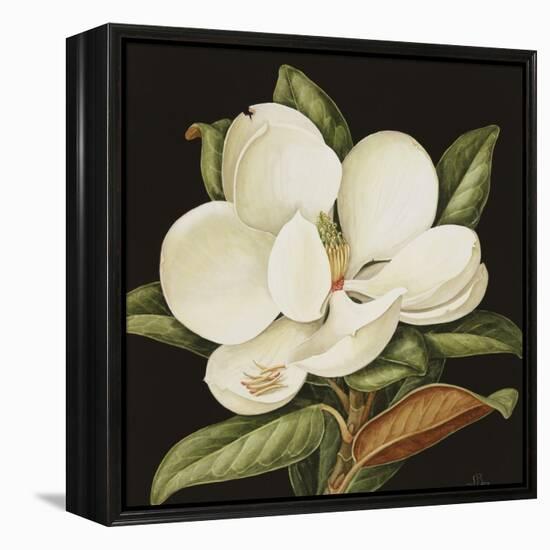 Magnolia Grandiflora, 2003-Jenny Barron-Framed Premier Image Canvas