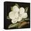 Magnolia Grandiflora, 2003-Jenny Barron-Framed Premier Image Canvas