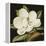 Magnolia Grandiflora, 2003-Jenny Barron-Framed Premier Image Canvas