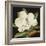 Magnolia Grandiflora, 2003-Jenny Barron-Framed Giclee Print