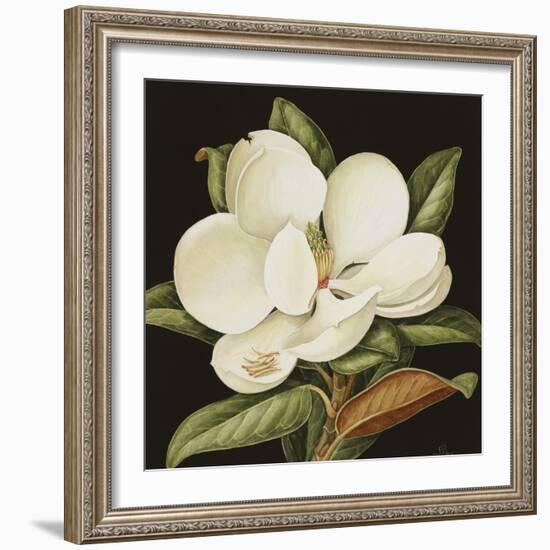 Magnolia Grandiflora, 2003-Jenny Barron-Framed Giclee Print