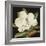 Magnolia Grandiflora, 2003-Jenny Barron-Framed Giclee Print