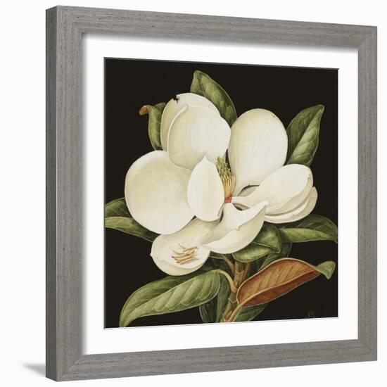 Magnolia Grandiflora, 2003-Jenny Barron-Framed Giclee Print