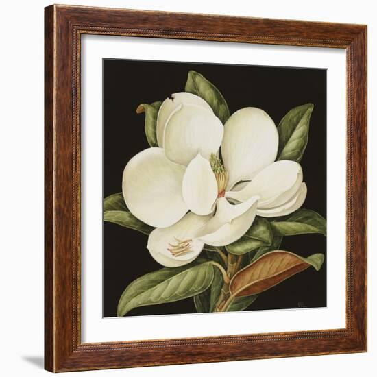 Magnolia Grandiflora, 2003-Jenny Barron-Framed Giclee Print