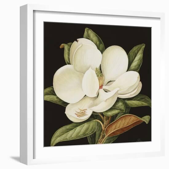 Magnolia Grandiflora, 2003-Jenny Barron-Framed Giclee Print