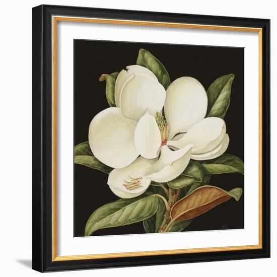 Magnolia Grandiflora, 2003-Jenny Barron-Framed Giclee Print