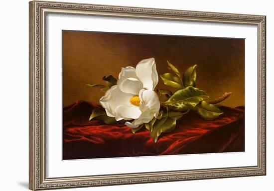 Magnolia Grandiflora-Martin Johnson Heade-Framed Art Print