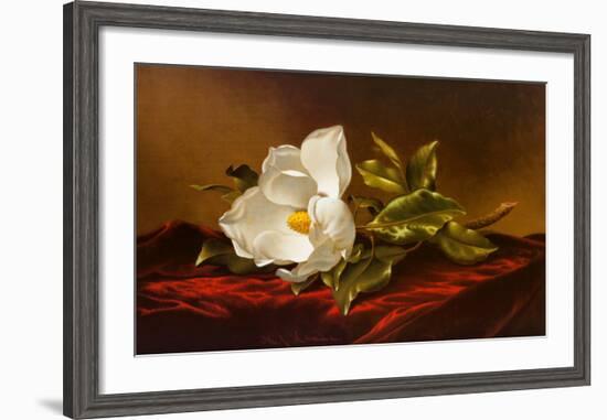 Magnolia Grandiflora-Martin Johnson Heade-Framed Art Print