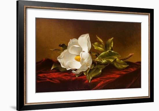 Magnolia Grandiflora-Martin Johnson Heade-Framed Art Print