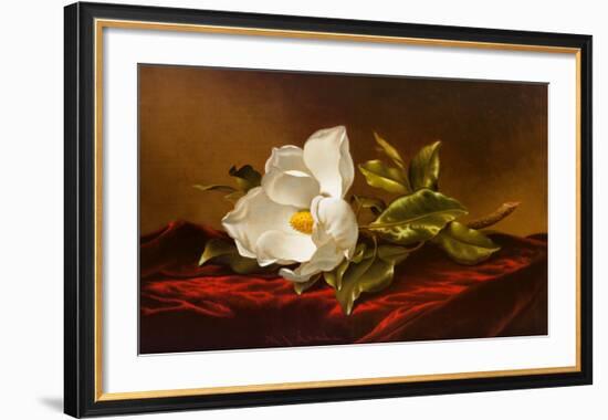 Magnolia Grandiflora-Martin Johnson Heade-Framed Art Print