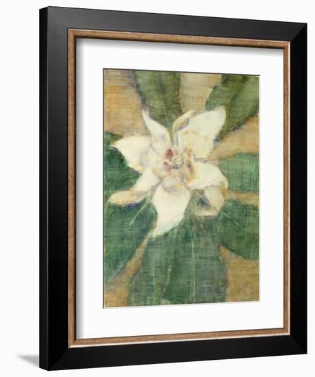 Magnolia Grandiflora-Christian Rohlfs-Framed Giclee Print