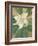 Magnolia Grandiflora-Christian Rohlfs-Framed Giclee Print