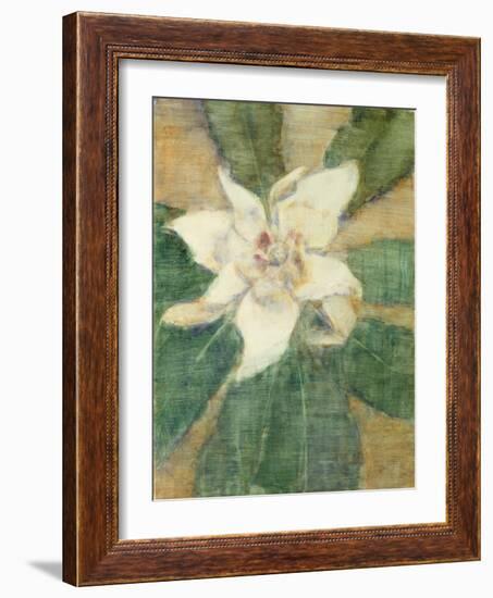 Magnolia Grandiflora-Christian Rohlfs-Framed Giclee Print