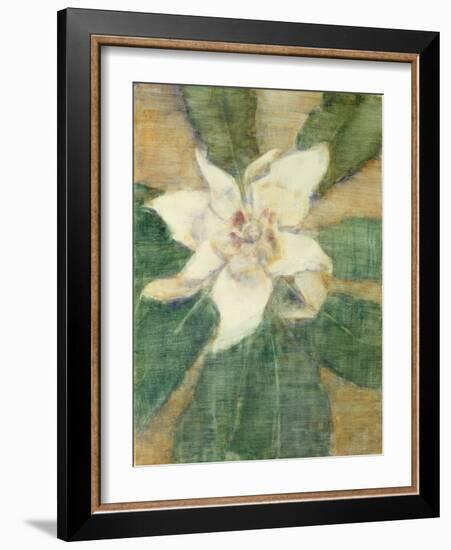 Magnolia Grandiflora-Christian Rohlfs-Framed Giclee Print