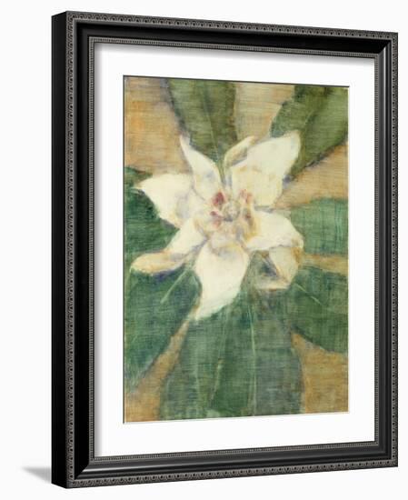 Magnolia Grandiflora-Christian Rohlfs-Framed Giclee Print