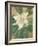 Magnolia Grandiflora-Christian Rohlfs-Framed Giclee Print