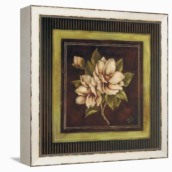 Magnolia I-Kimberly Poloson-Framed Stretched Canvas